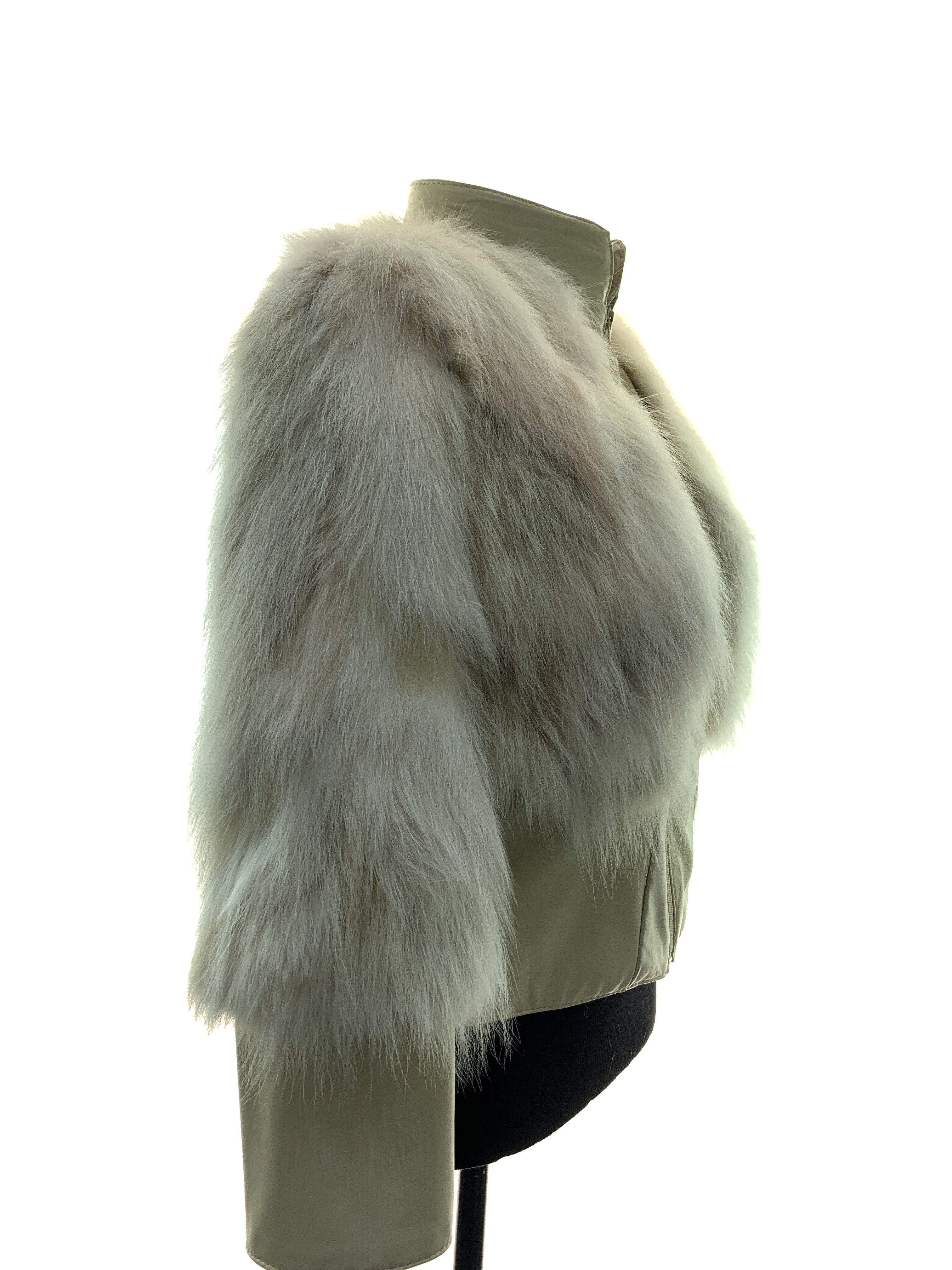 cream-fox-new-00020.jpg