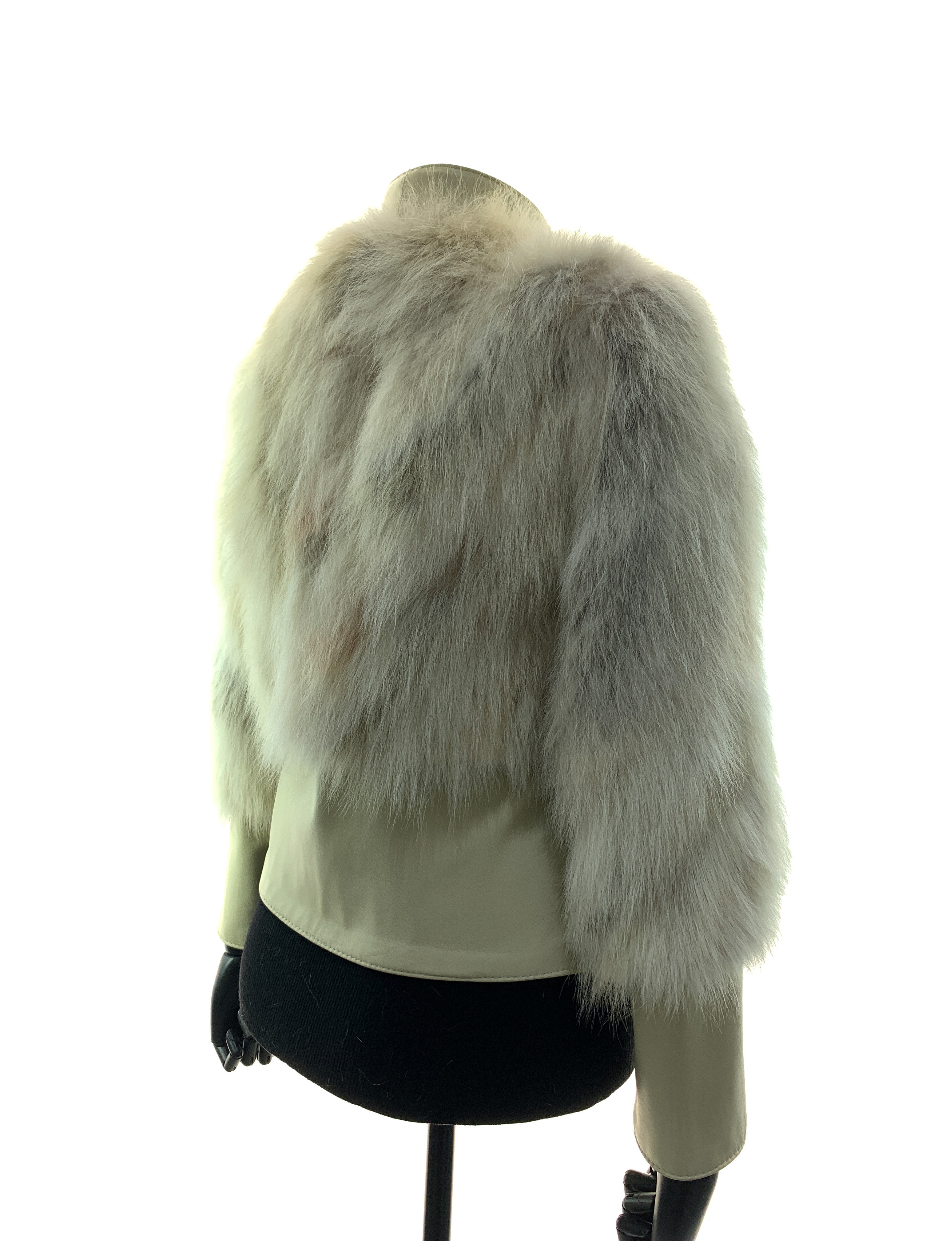 cream-fox-new-00040.jpg