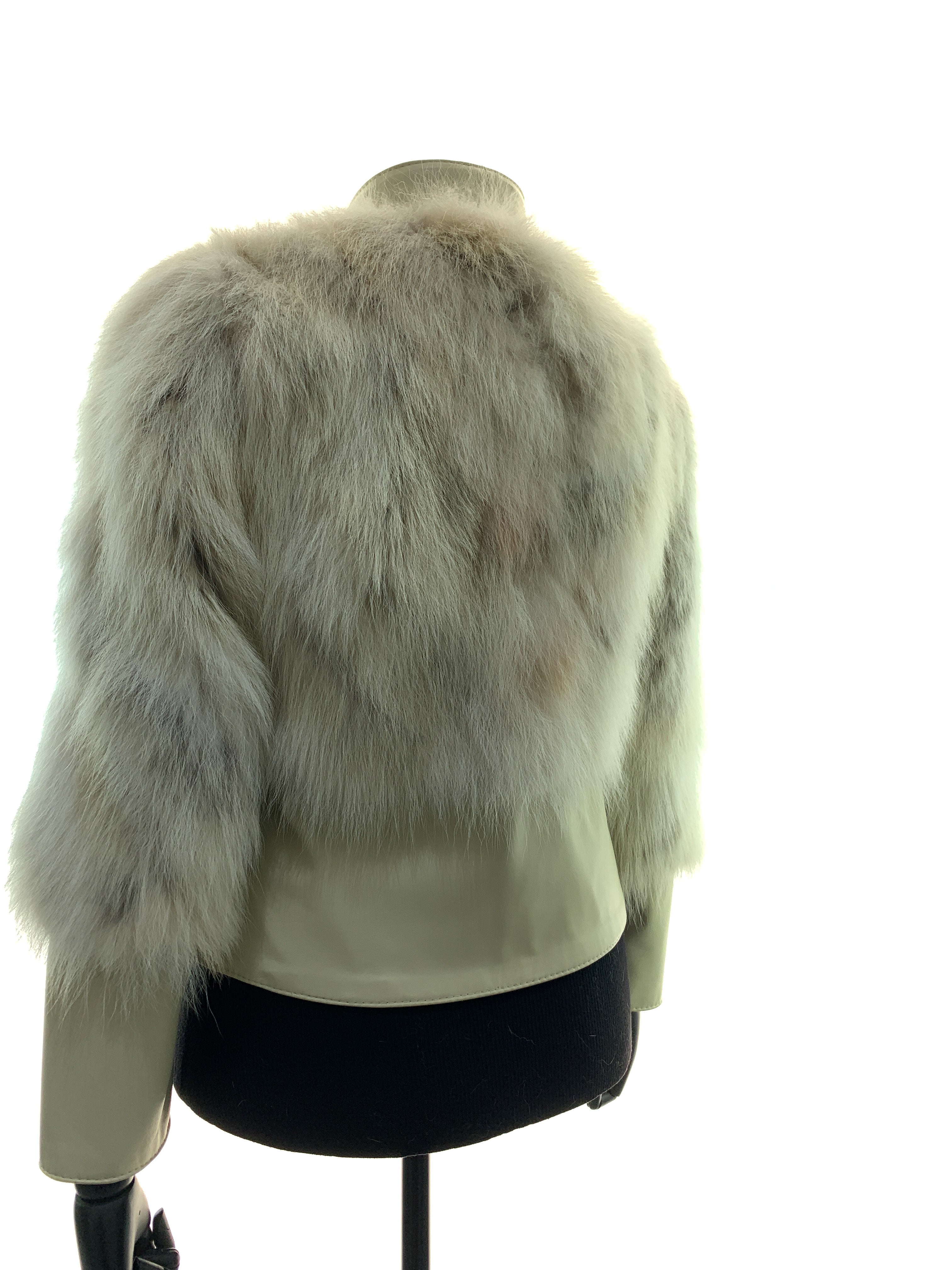 cream-fox-new-00060.jpg