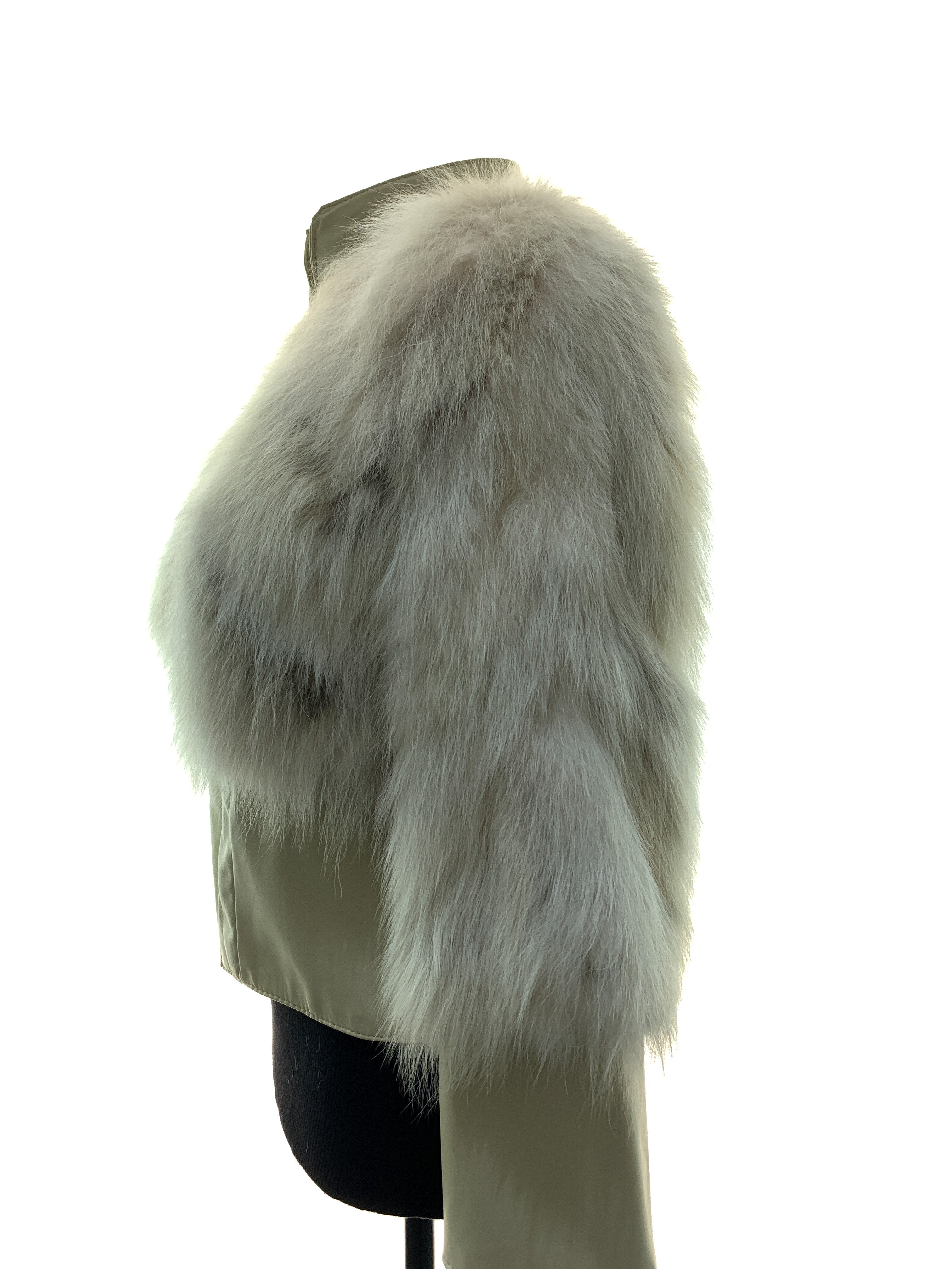 cream-fox-new-00080.jpg