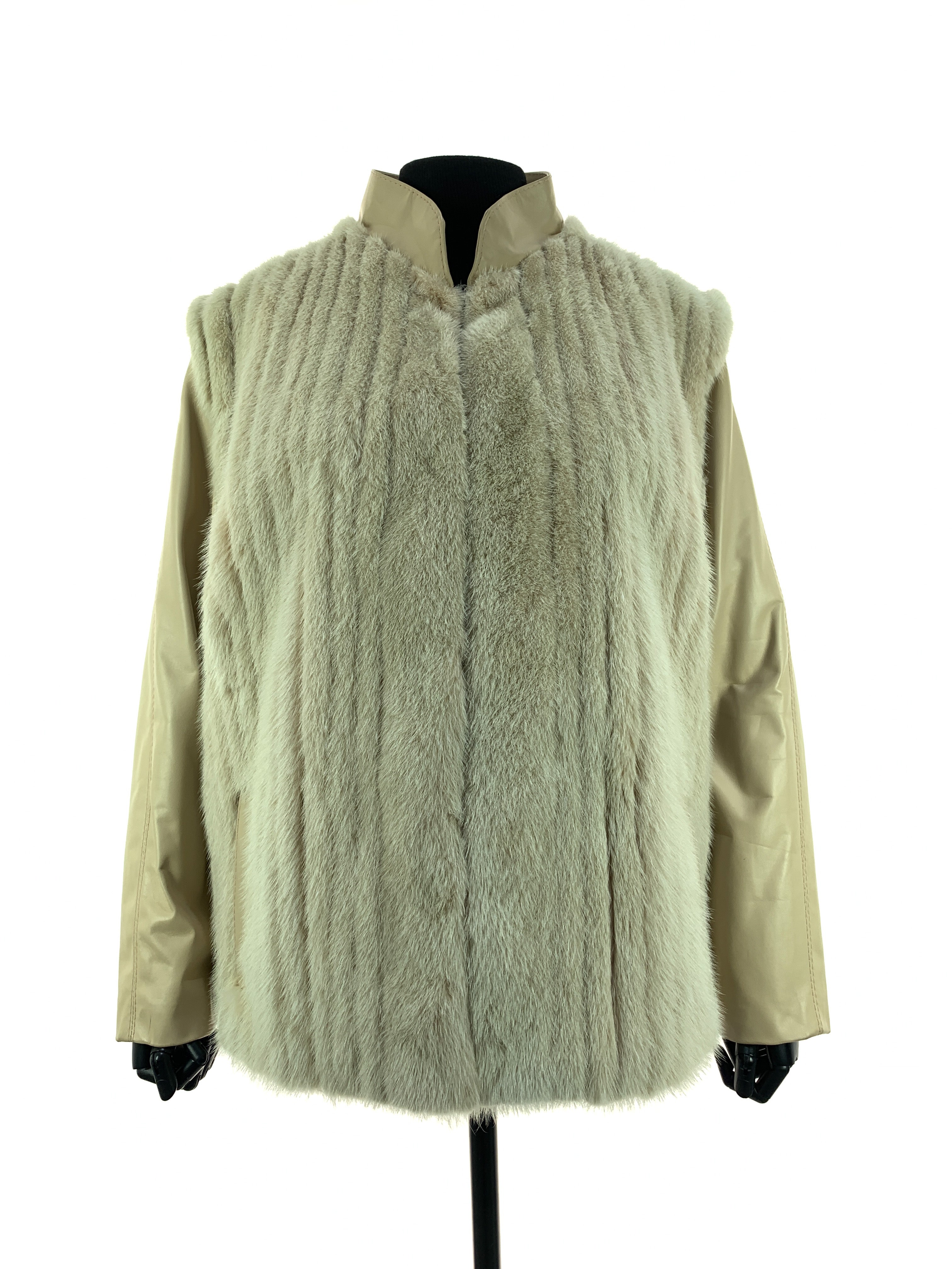 creme-rose-one-00002.jpg