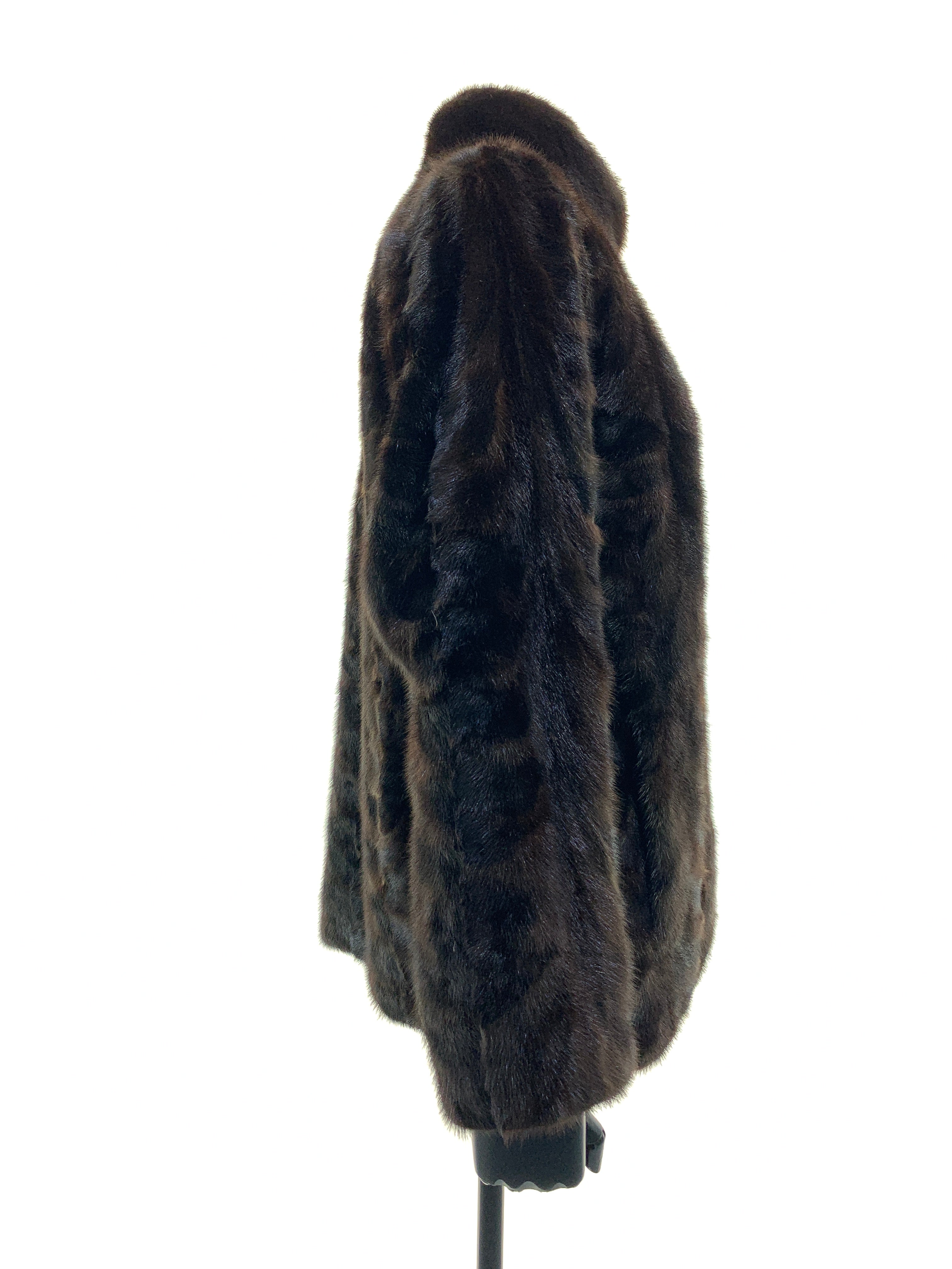 mink-back-paw-00116.jpg