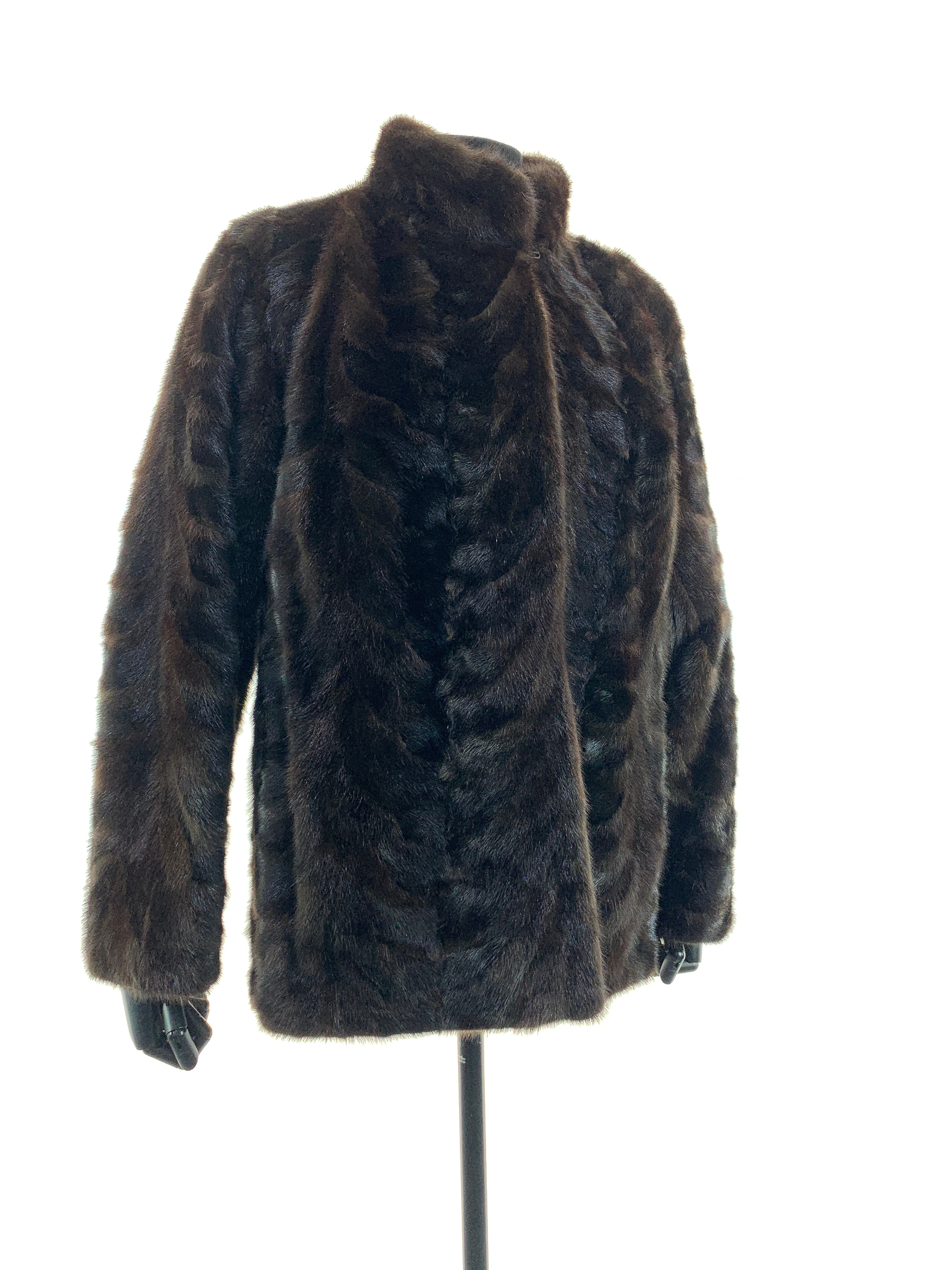 mink-back-paw-00136.jpg