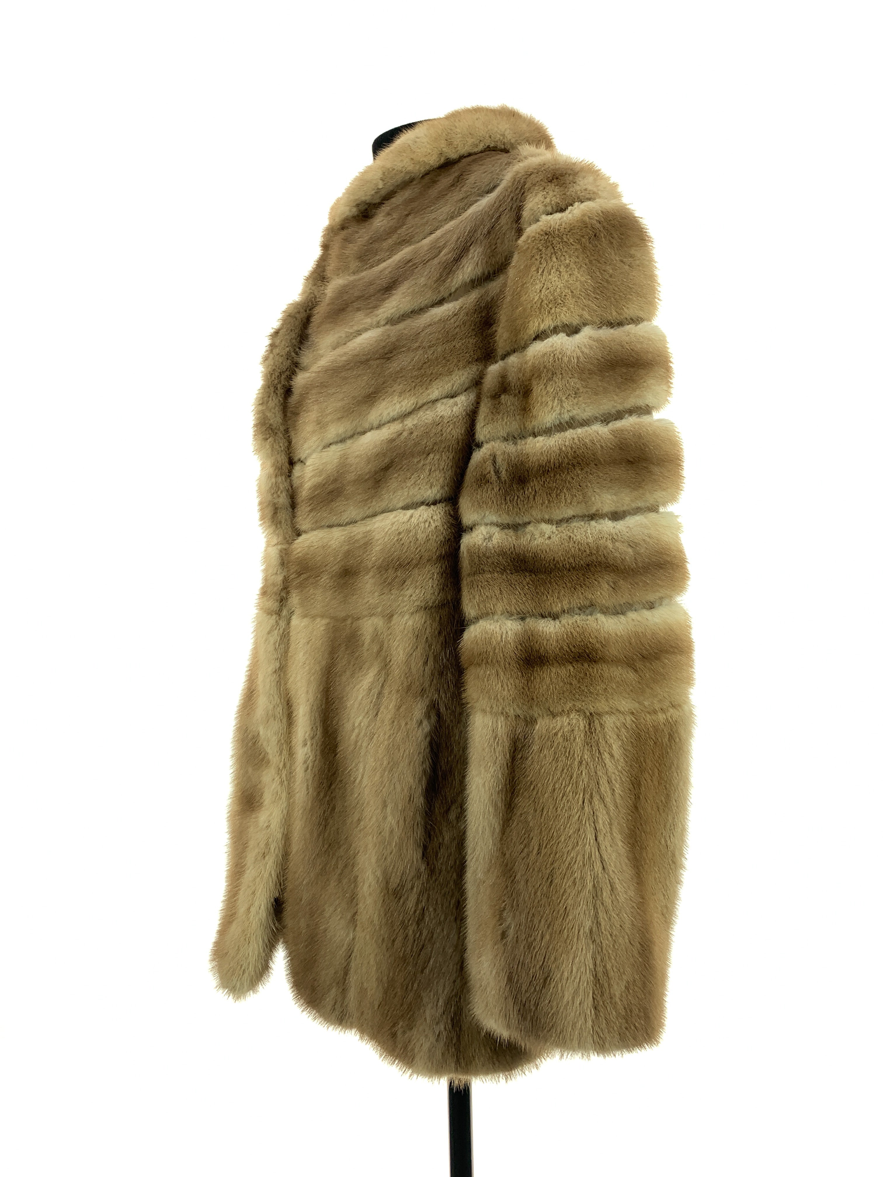 palamino-mink-00027.jpg