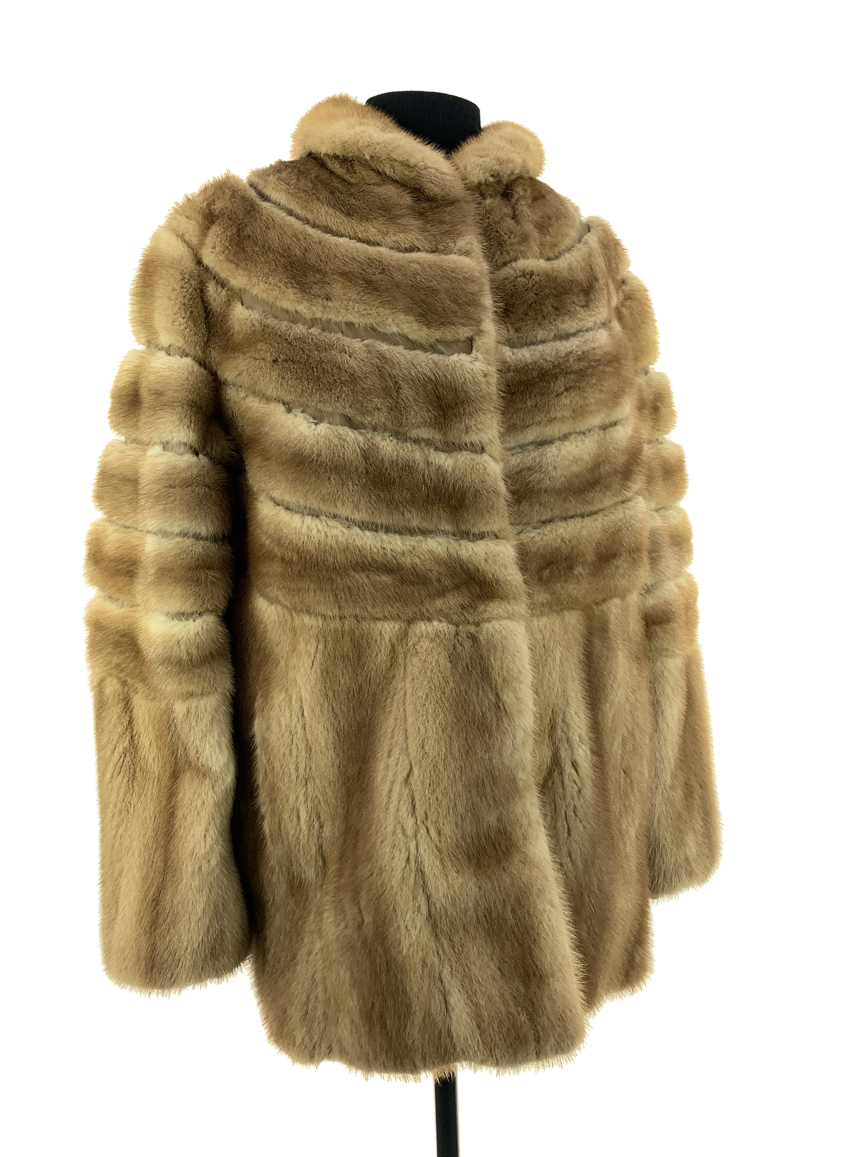 palamino-mink-00127.jpg