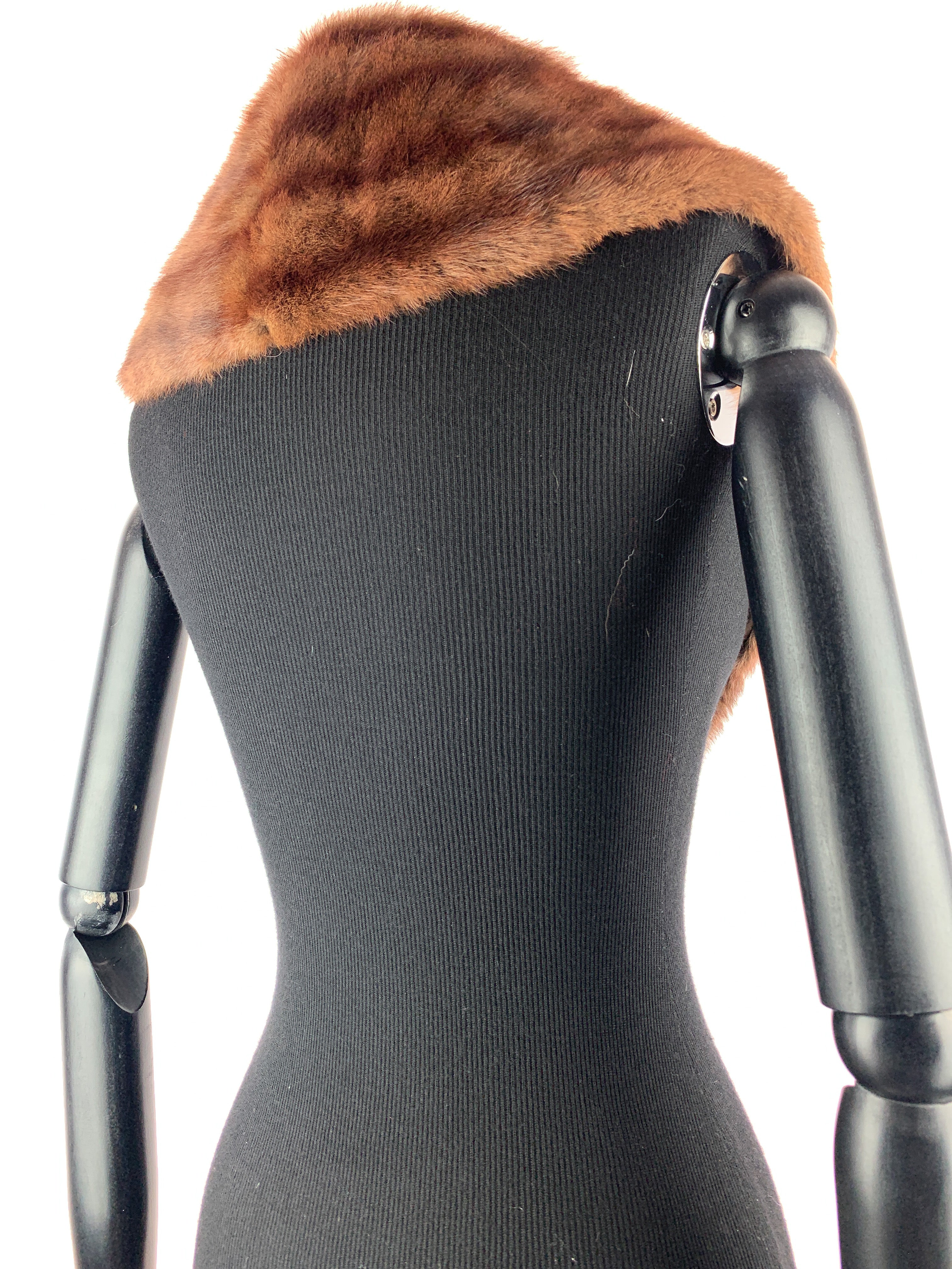 Tan-striped-russian-00060.jpg