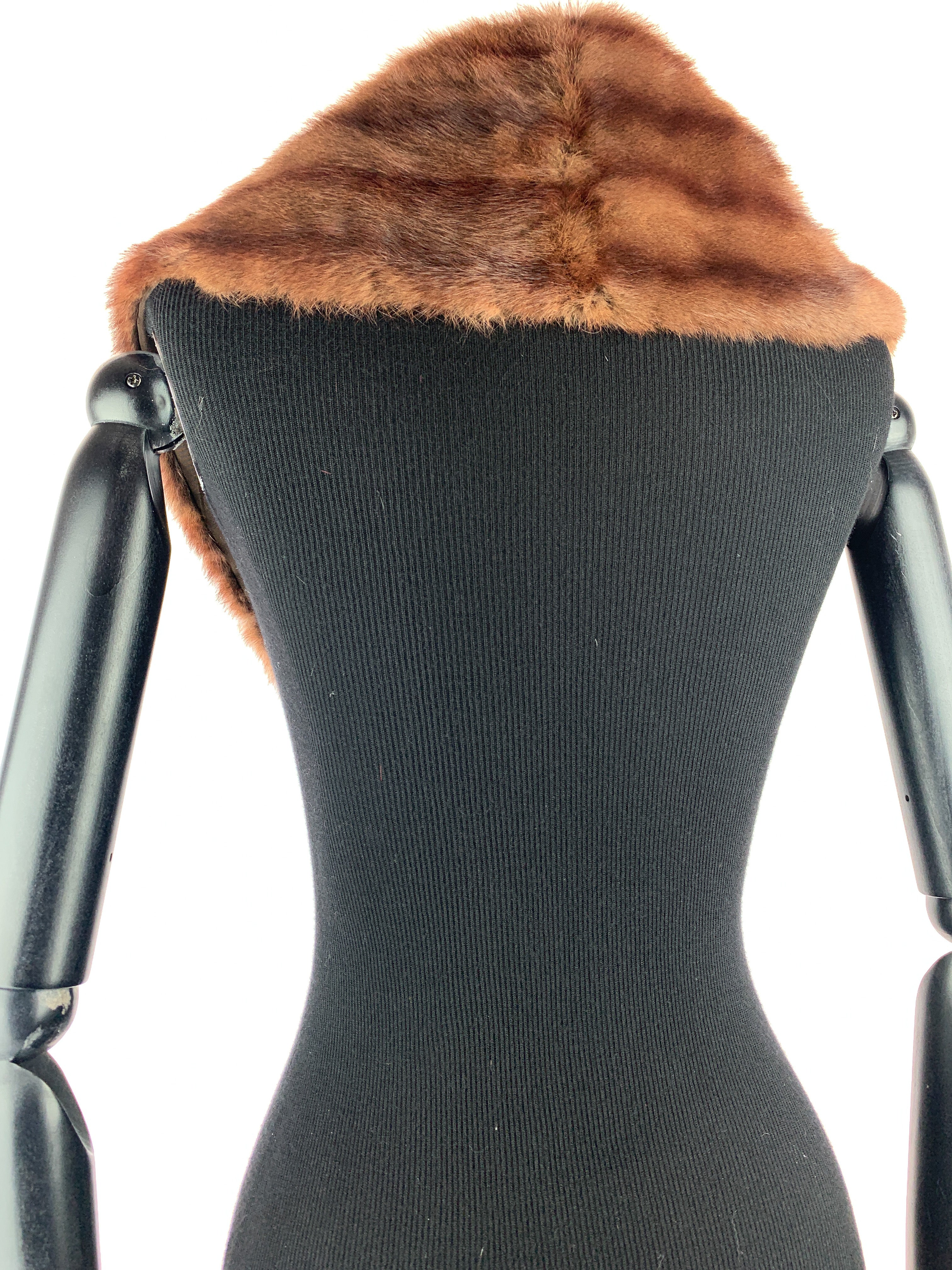 Tan-striped-russian-00080.jpg