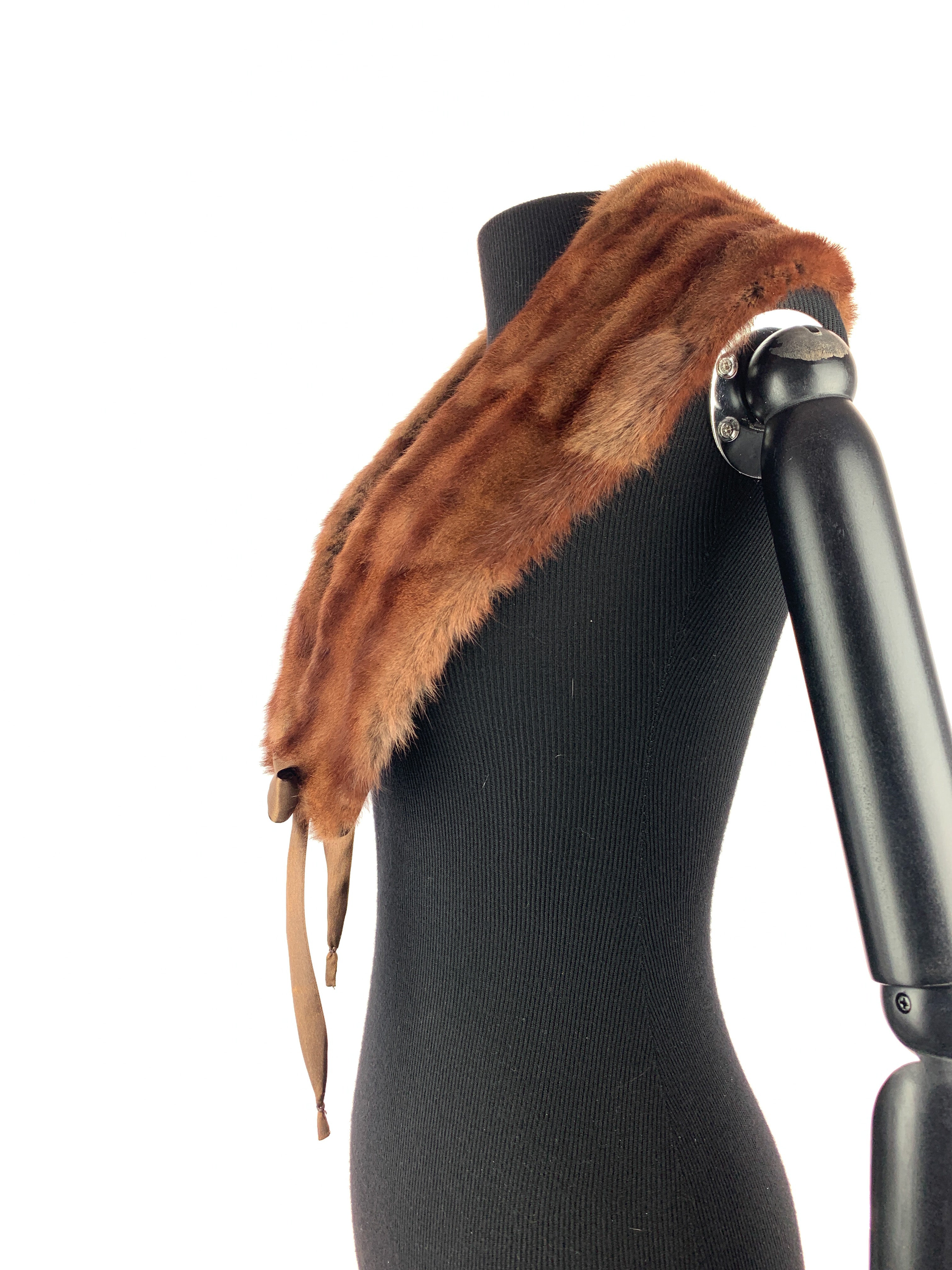 Tan-striped-russian-00120.jpg