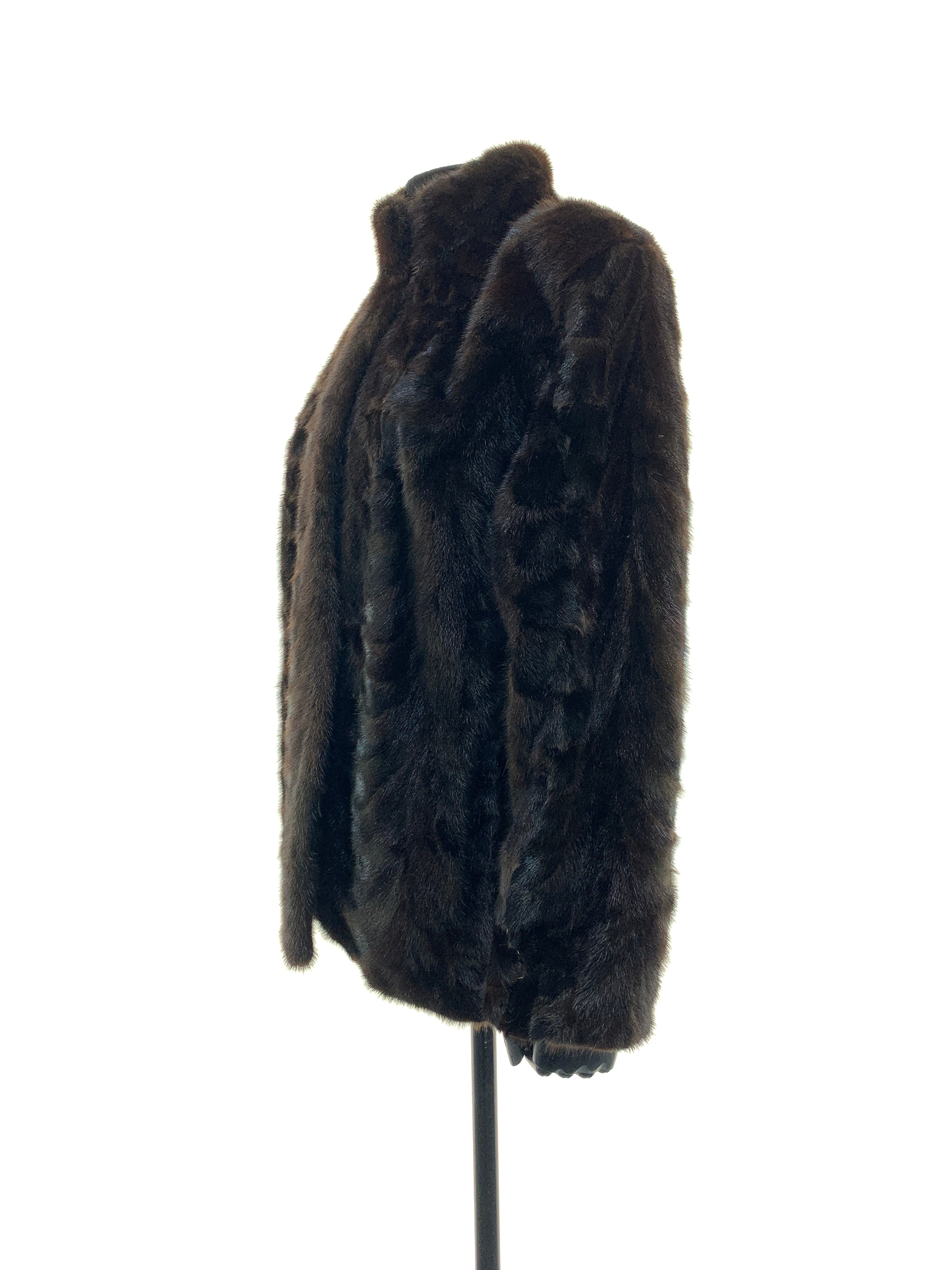 mink-back-paw-00056.jpg